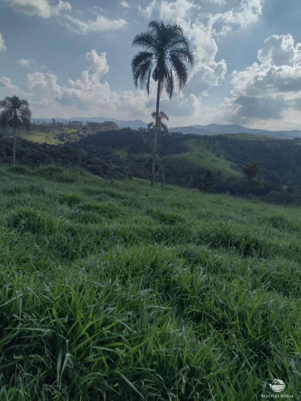 Fazenda à venda com 1 quarto, 798600m² - Foto 11