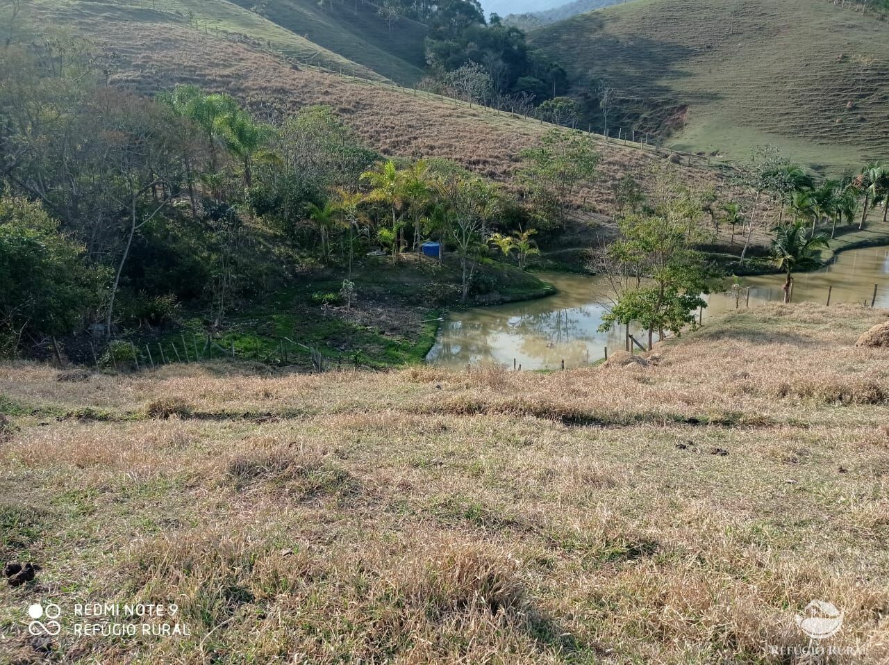 Fazenda à venda, 40000m² - Foto 13