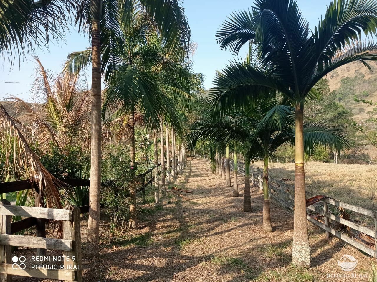 Fazenda à venda, 40000m² - Foto 12