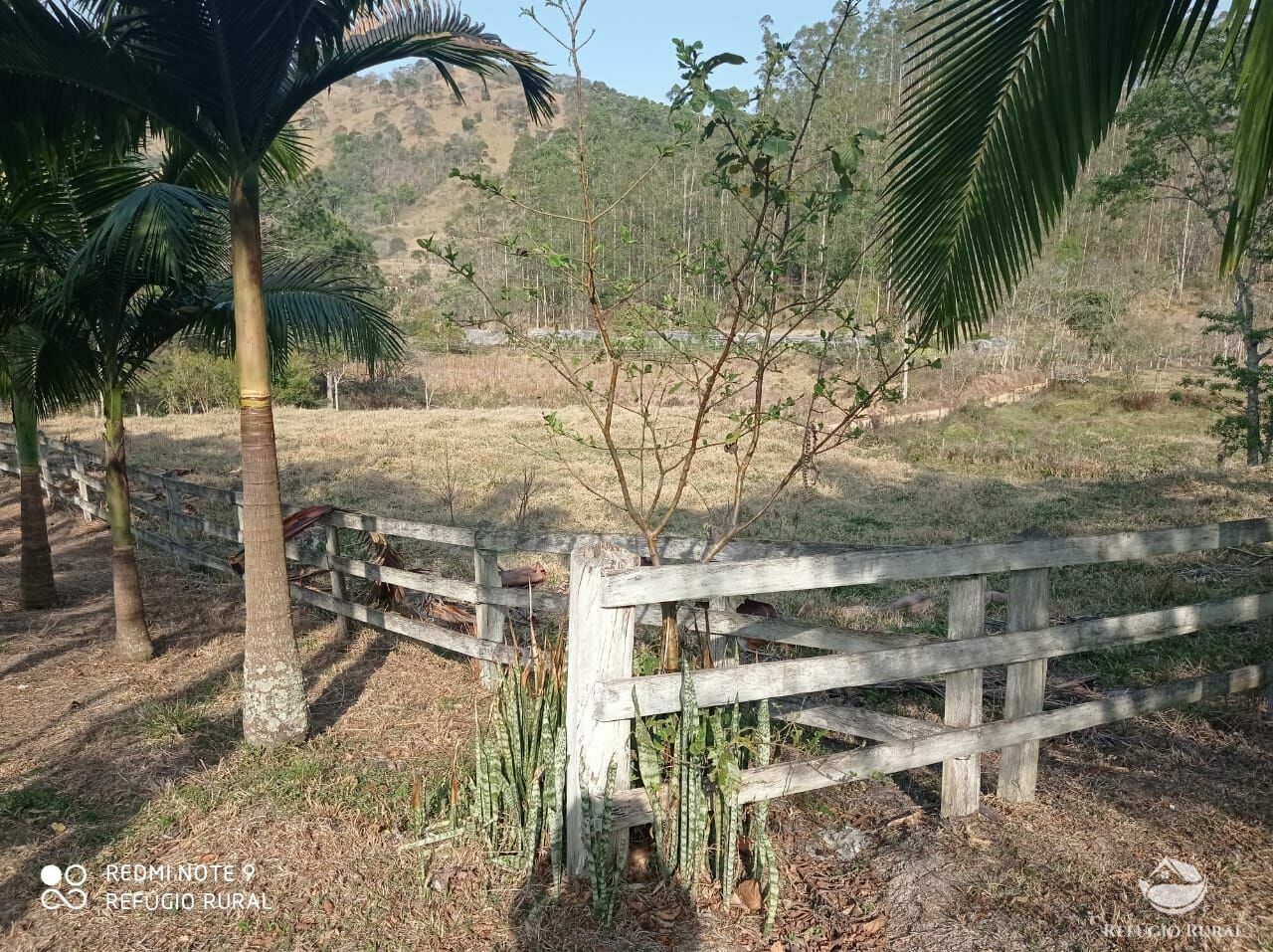 Fazenda à venda, 40000m² - Foto 5