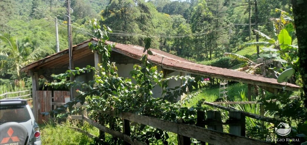 Fazenda à venda com 3 quartos, 900m² - Foto 1