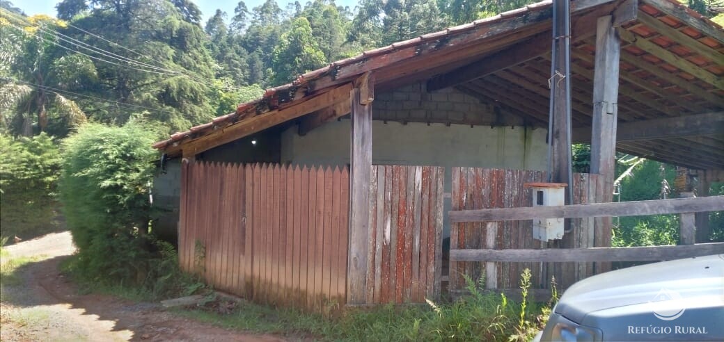 Fazenda à venda com 3 quartos, 900m² - Foto 7