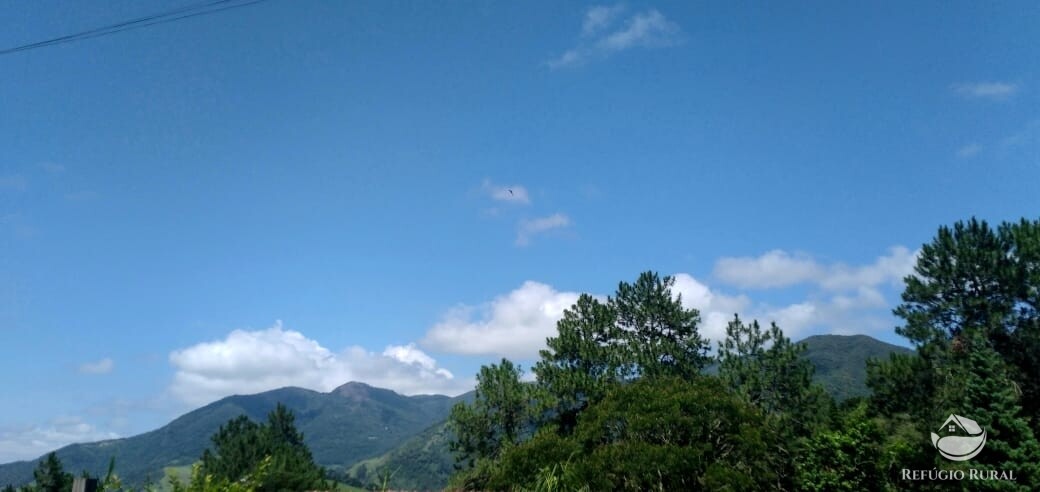 Fazenda à venda com 3 quartos, 900m² - Foto 3