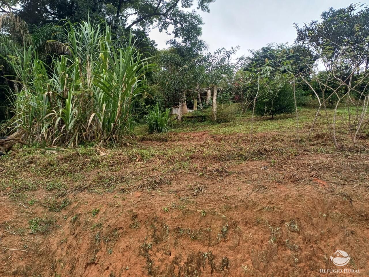 Sítio à venda com 3 quartos, 76000m² - Foto 16