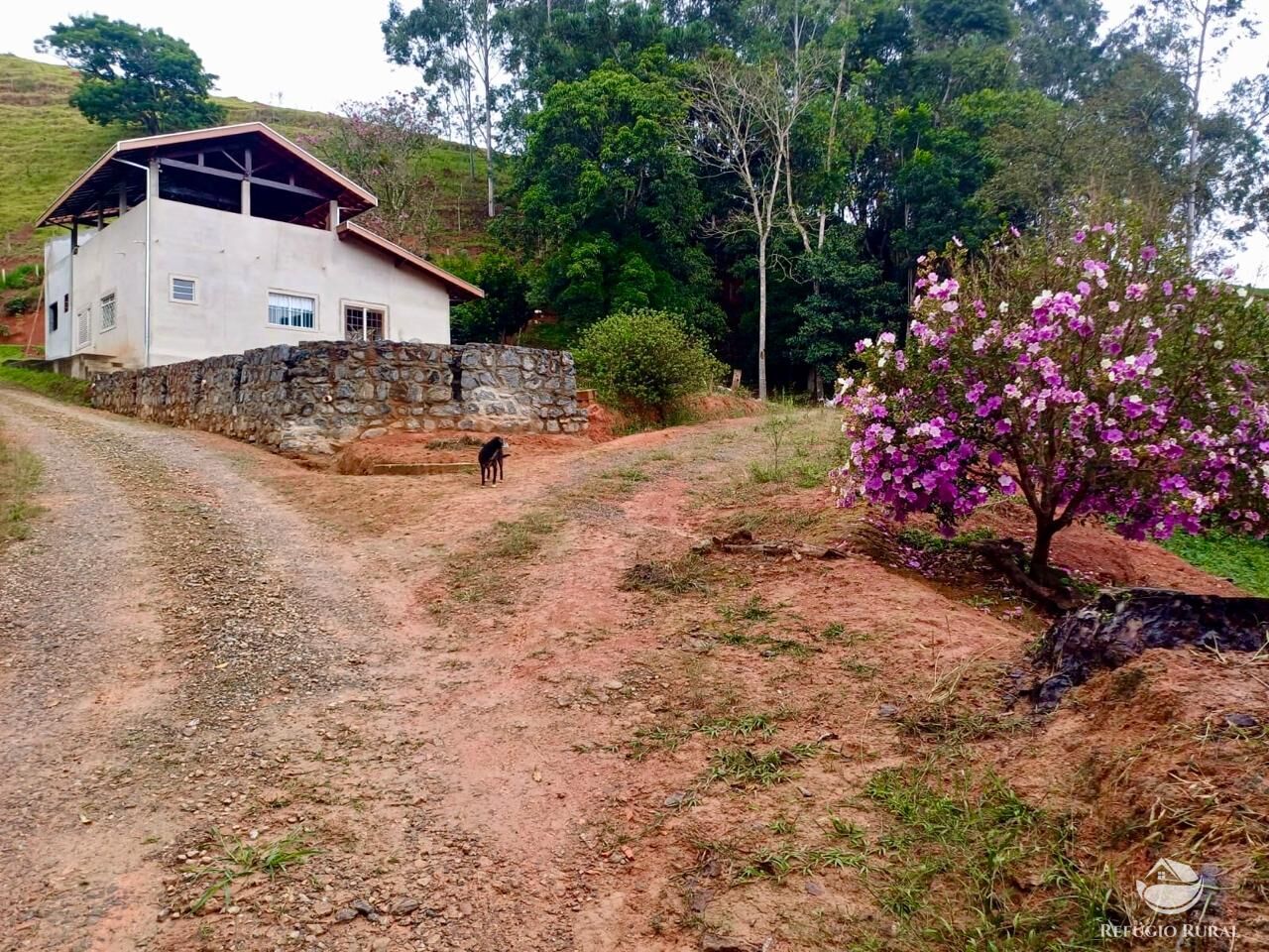 Sítio à venda com 3 quartos, 76000m² - Foto 7