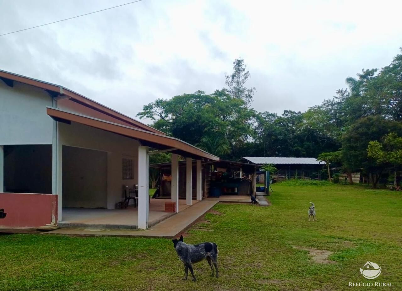 Sítio à venda com 3 quartos, 76000m² - Foto 25