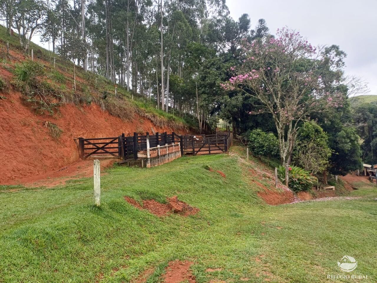 Sítio à venda com 3 quartos, 76000m² - Foto 24