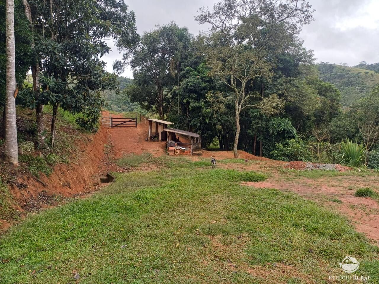 Sítio à venda com 3 quartos, 76000m² - Foto 21