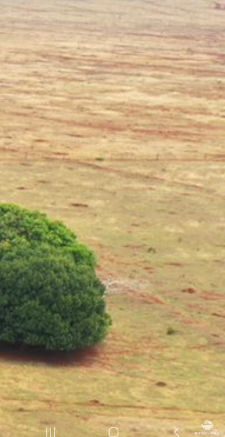 Fazenda à venda com 2 quartos, 7500000m² - Foto 1