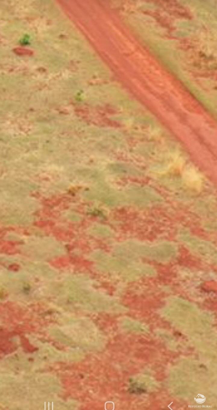 Fazenda à venda com 2 quartos, 7500000m² - Foto 3