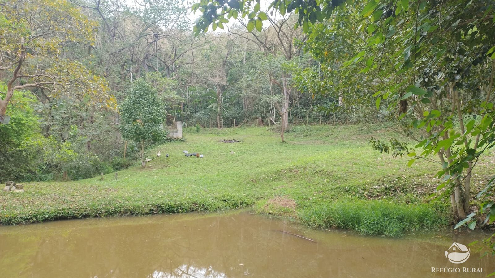 Fazenda à venda com 2 quartos, 2700m² - Foto 5