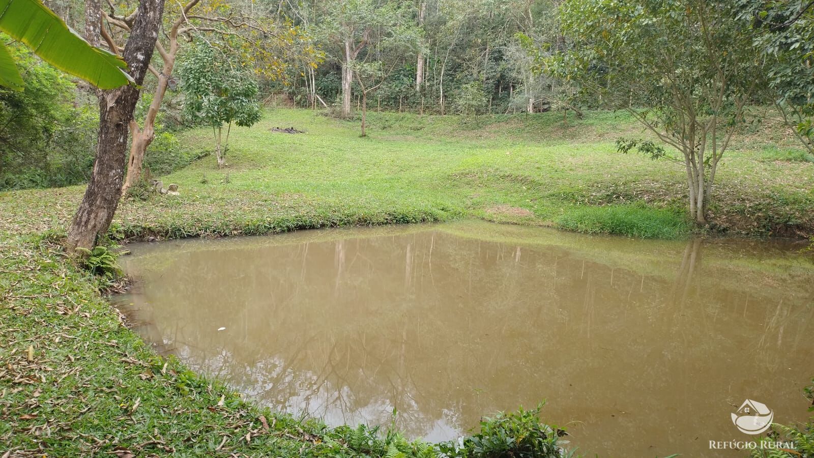 Fazenda à venda com 2 quartos, 2700m² - Foto 4