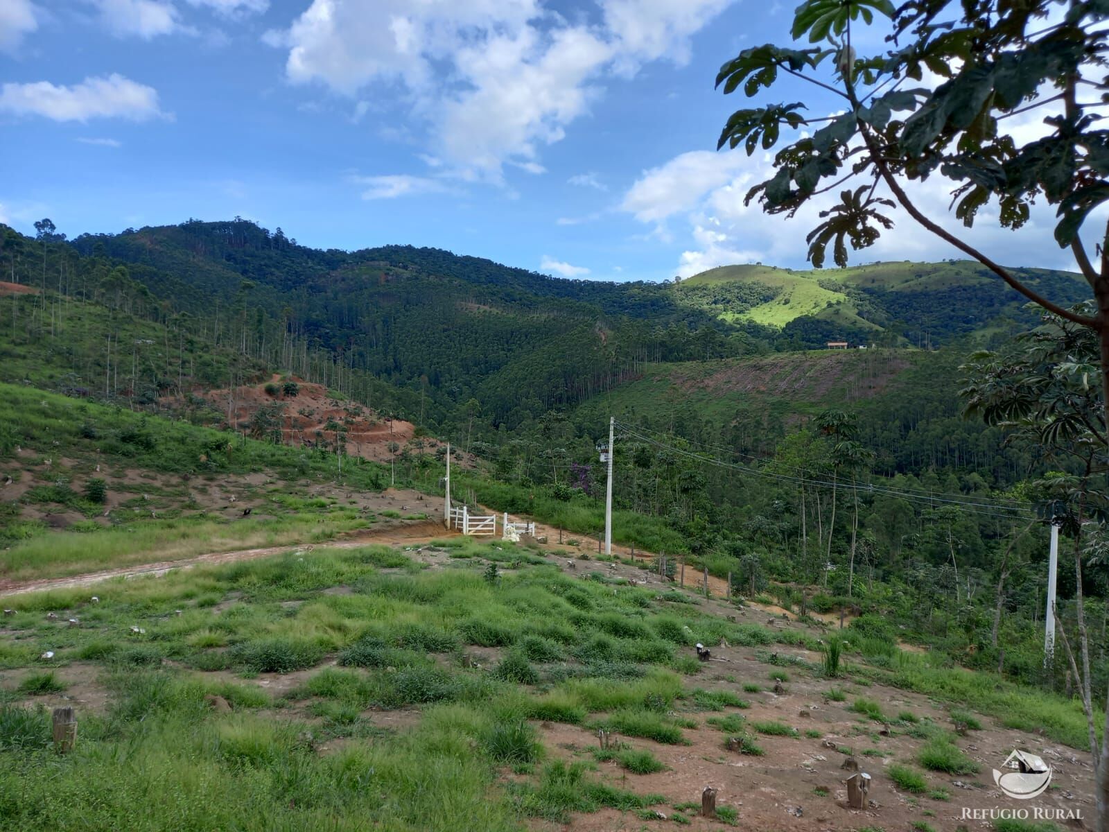 Fazenda à venda com 1 quarto, 26000m² - Foto 16