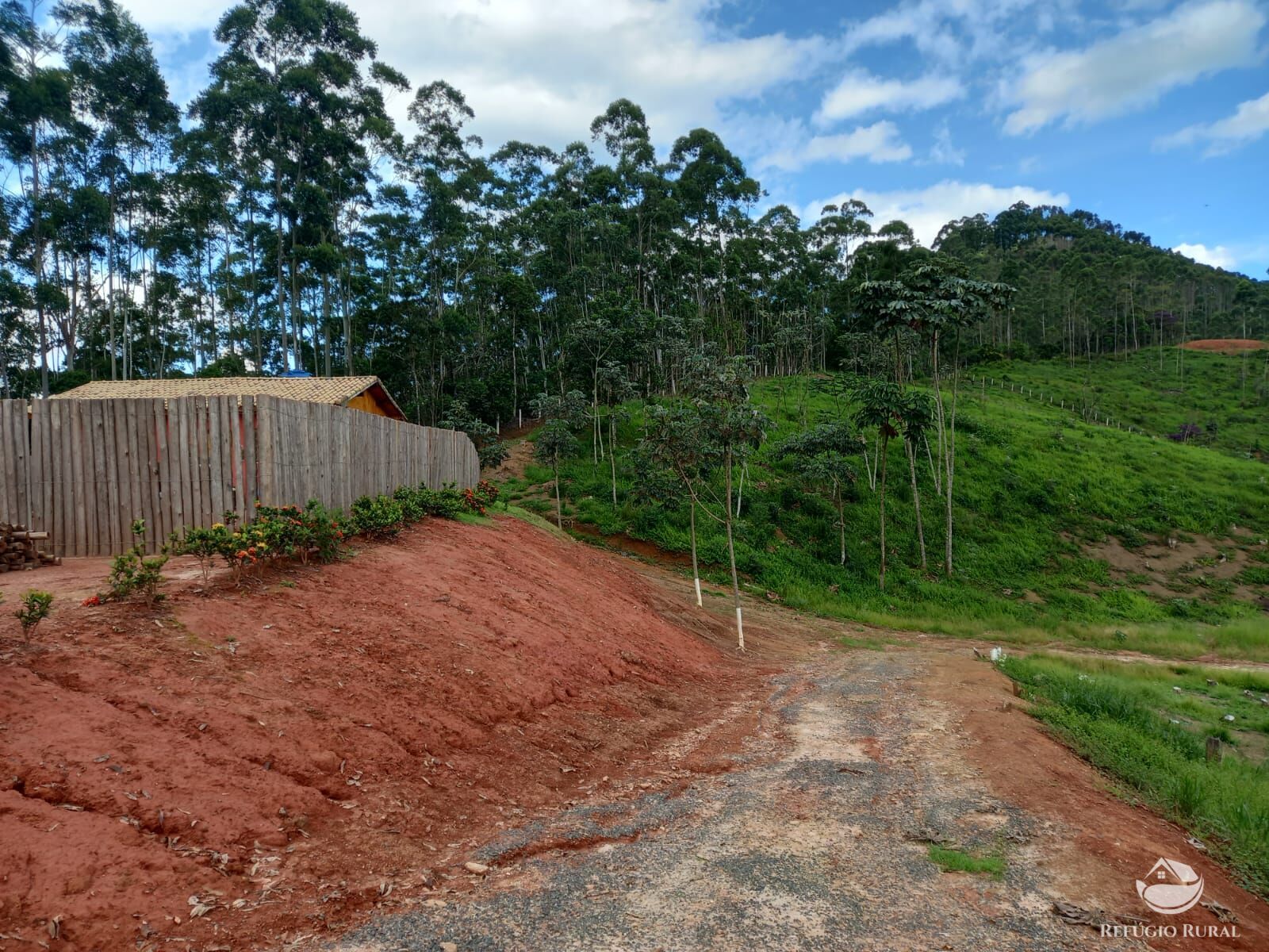 Fazenda à venda com 1 quarto, 26000m² - Foto 13