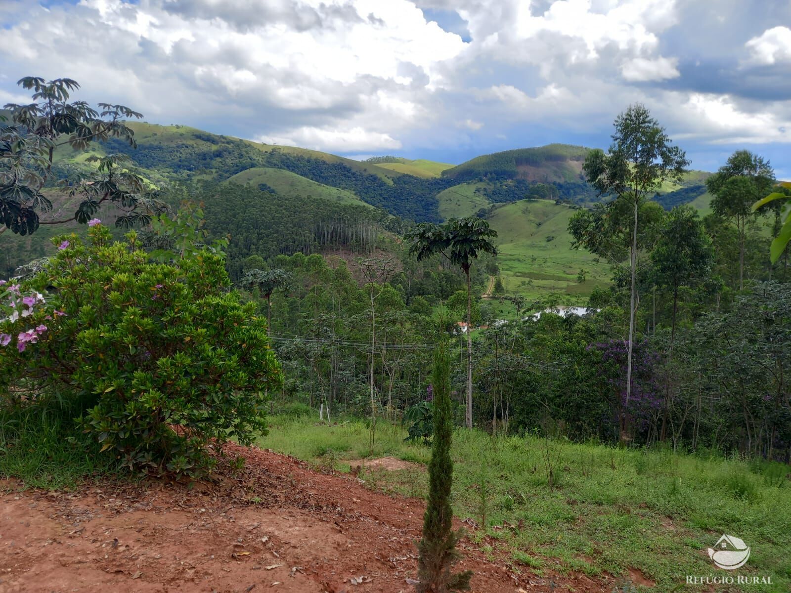 Fazenda à venda com 1 quarto, 26000m² - Foto 12