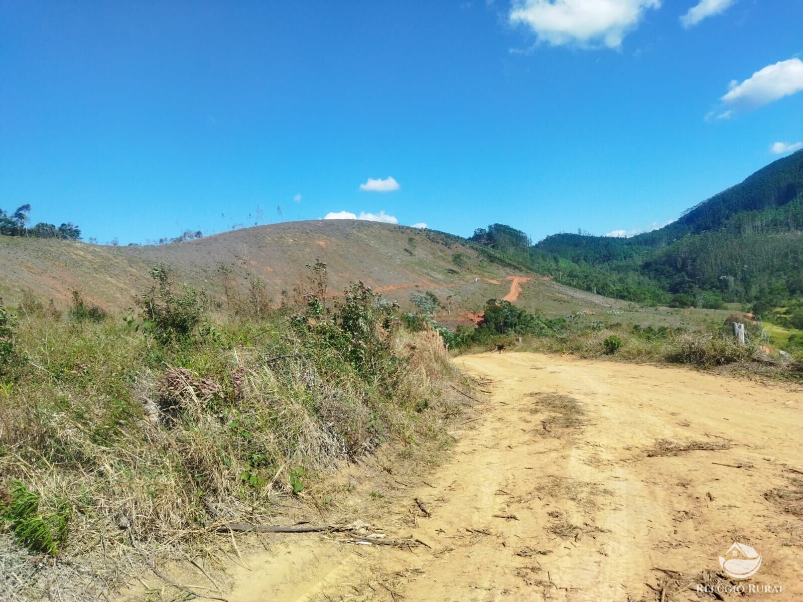 Terreno à venda, 40000m² - Foto 12