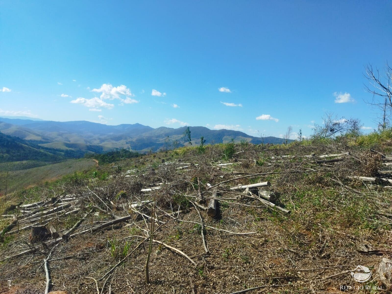 Terreno à venda, 40000m² - Foto 15