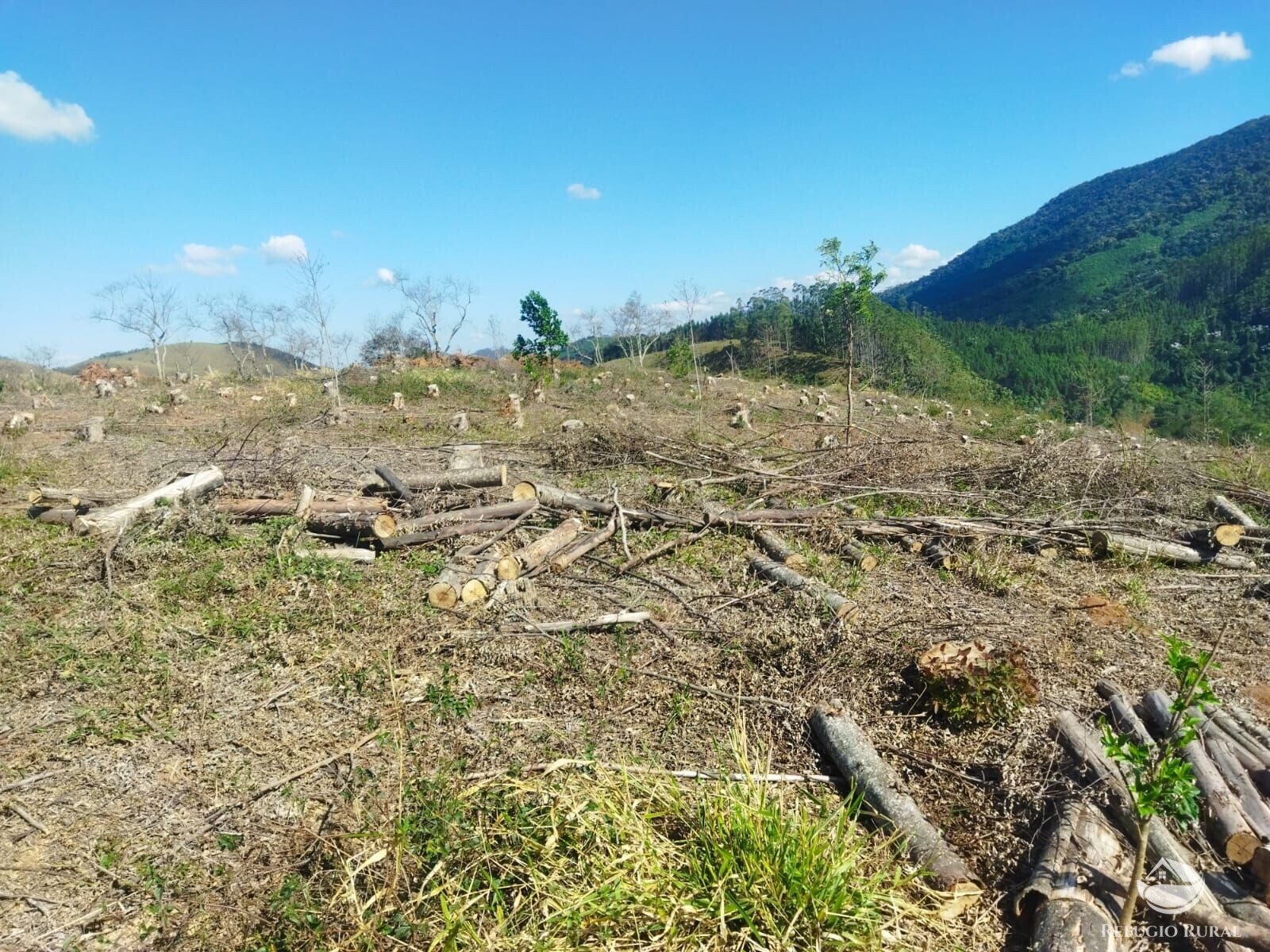 Terreno à venda, 40000m² - Foto 8