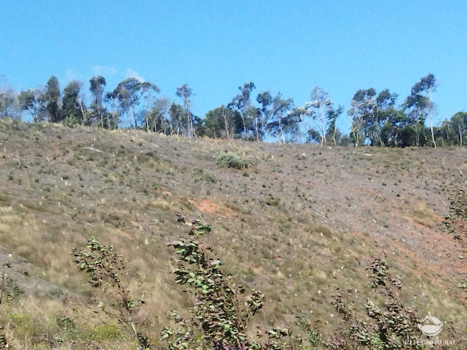 Terreno à venda, 40000m² - Foto 20