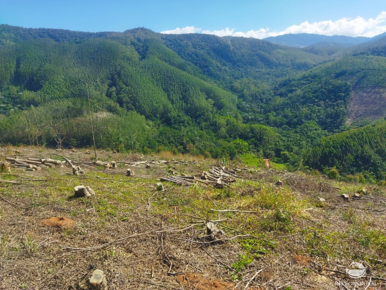 Terreno à venda, 40000m² - Foto 7