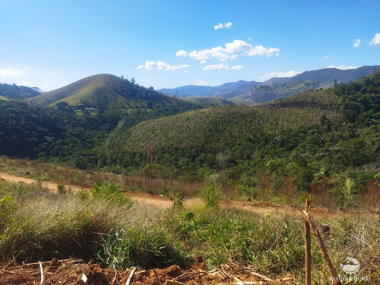 Terreno à venda, 40000m² - Foto 3