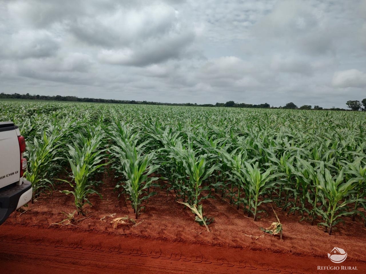 Fazenda à venda com 2 quartos, 40656000m² - Foto 3