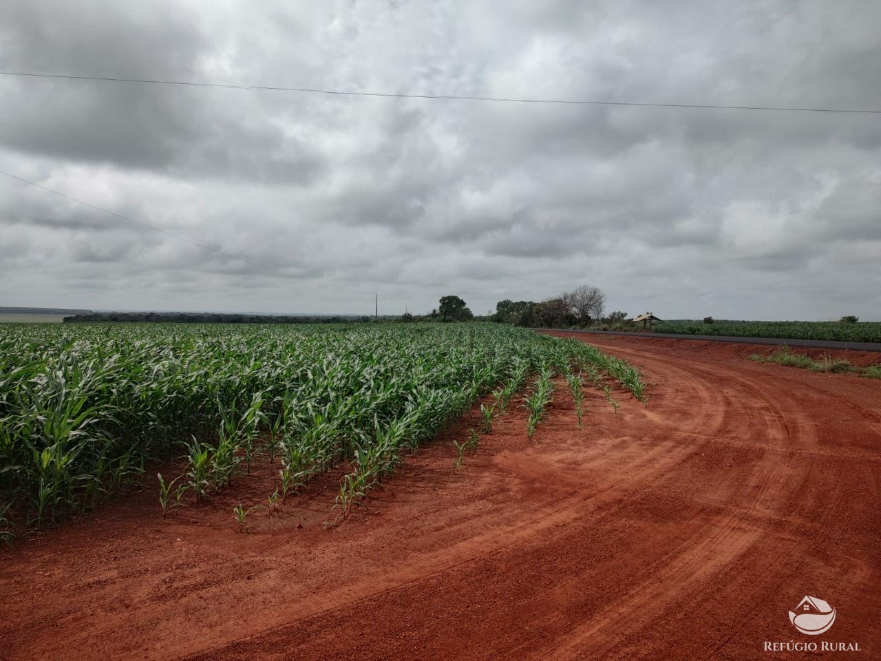 Fazenda à venda com 2 quartos, 40656000m² - Foto 5