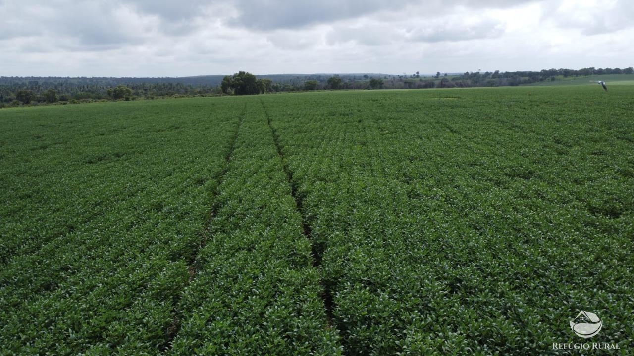 Fazenda à venda com 2 quartos, 40656000m² - Foto 2