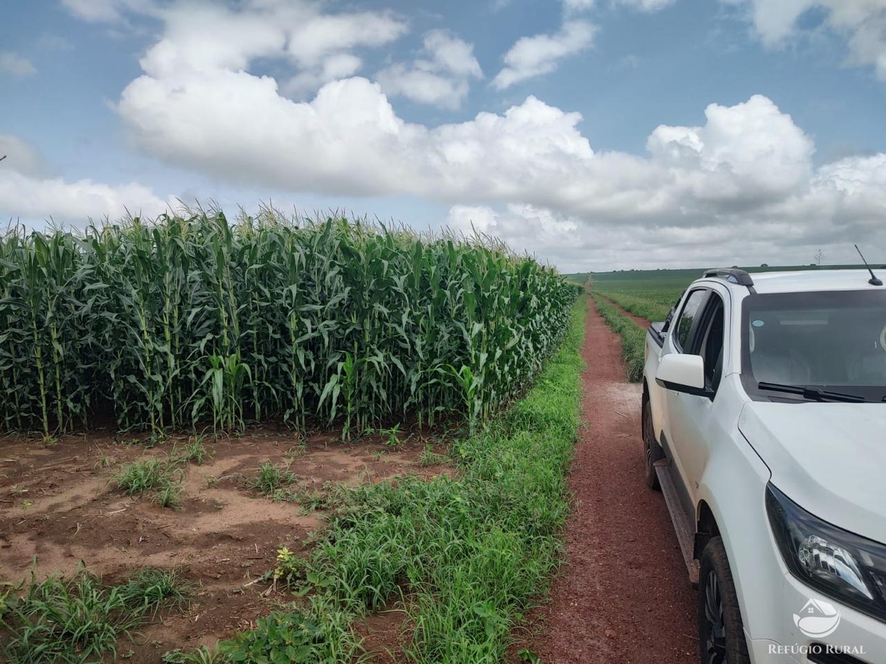 Fazenda à venda com 2 quartos, 40656000m² - Foto 4