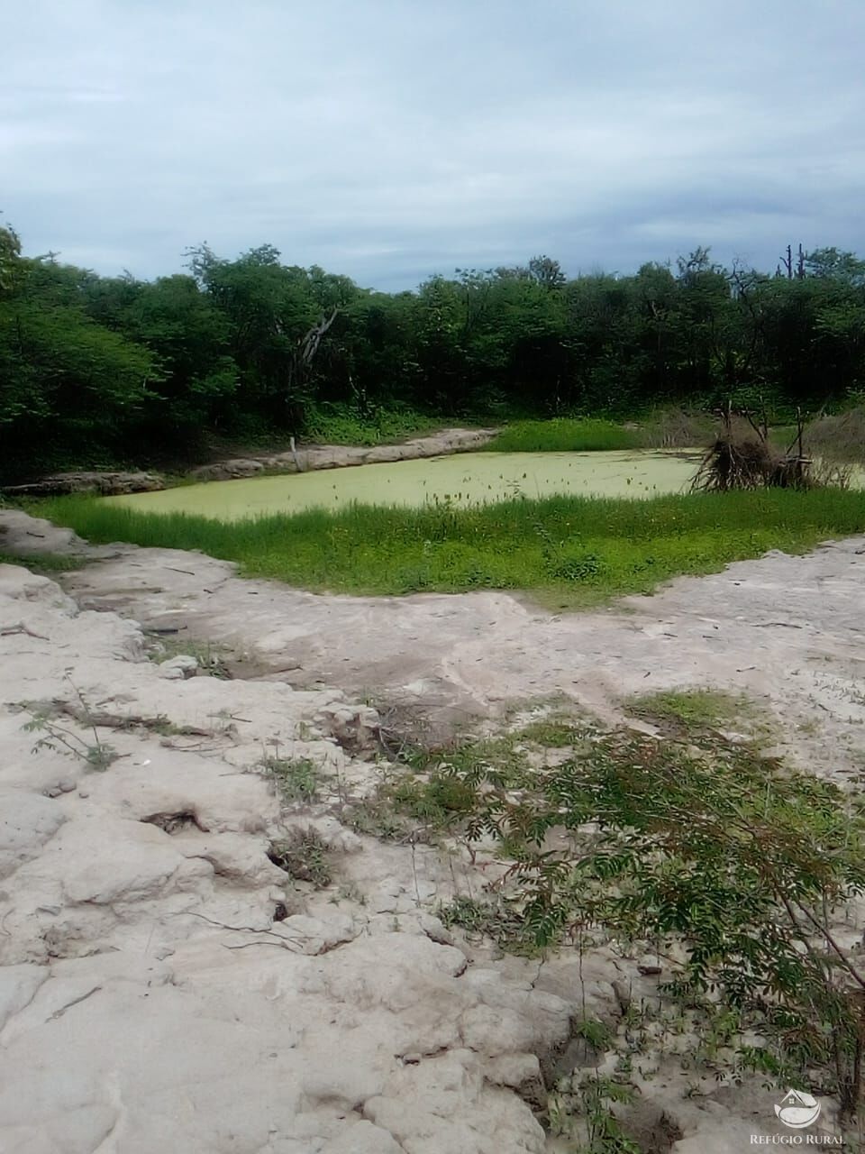 Fazenda à venda com 1 quarto, 23500000m² - Foto 2