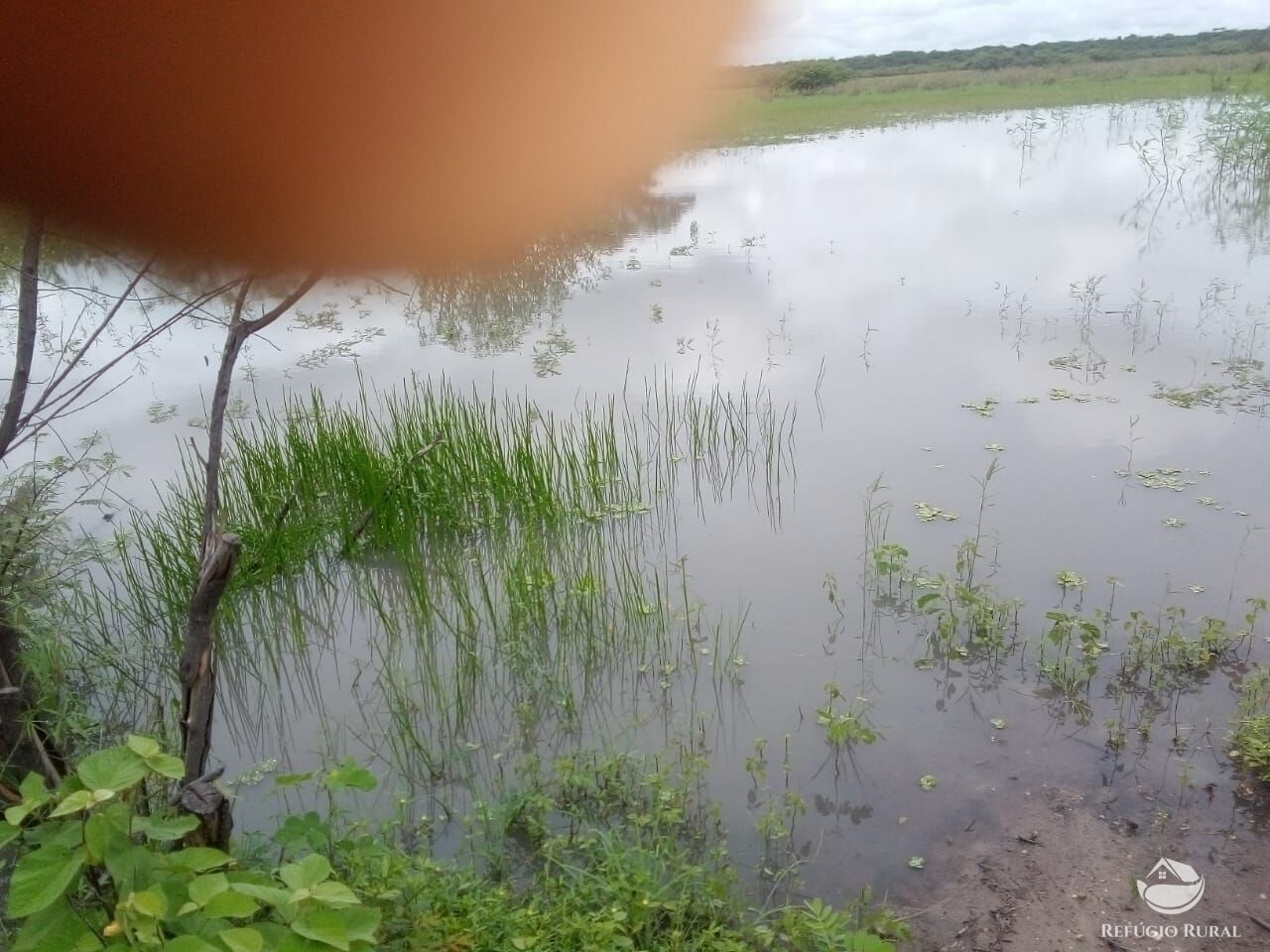 Fazenda à venda com 1 quarto, 23500000m² - Foto 5