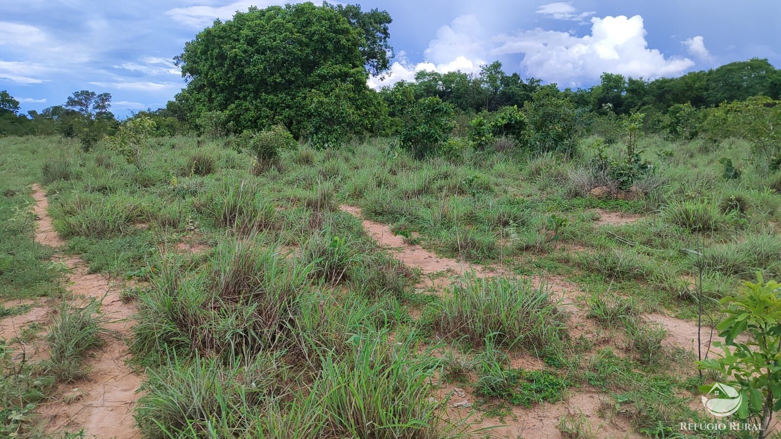 Fazenda à venda com 1 quarto, 7986000m² - Foto 18