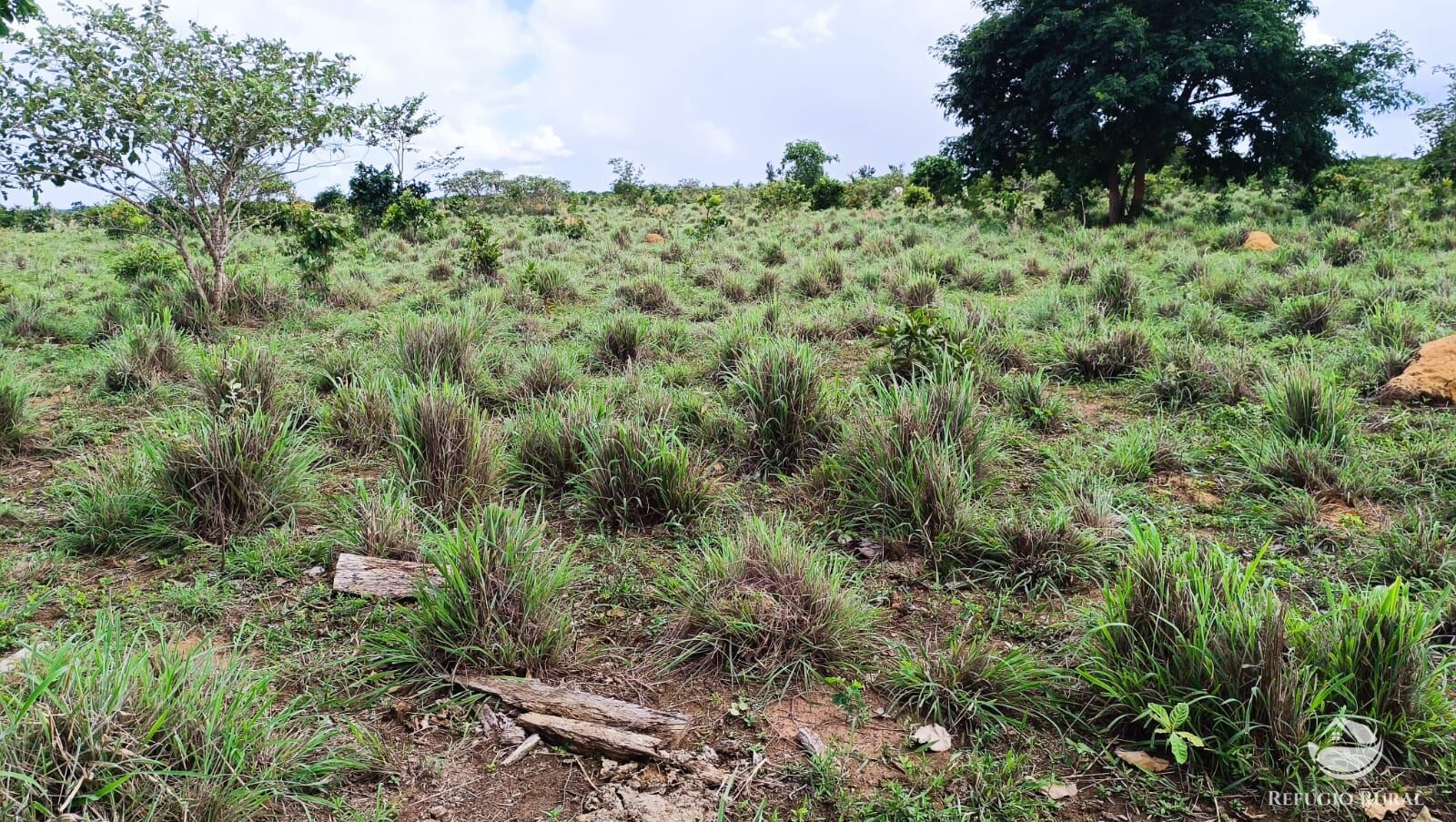 Fazenda à venda com 1 quarto, 7986000m² - Foto 7