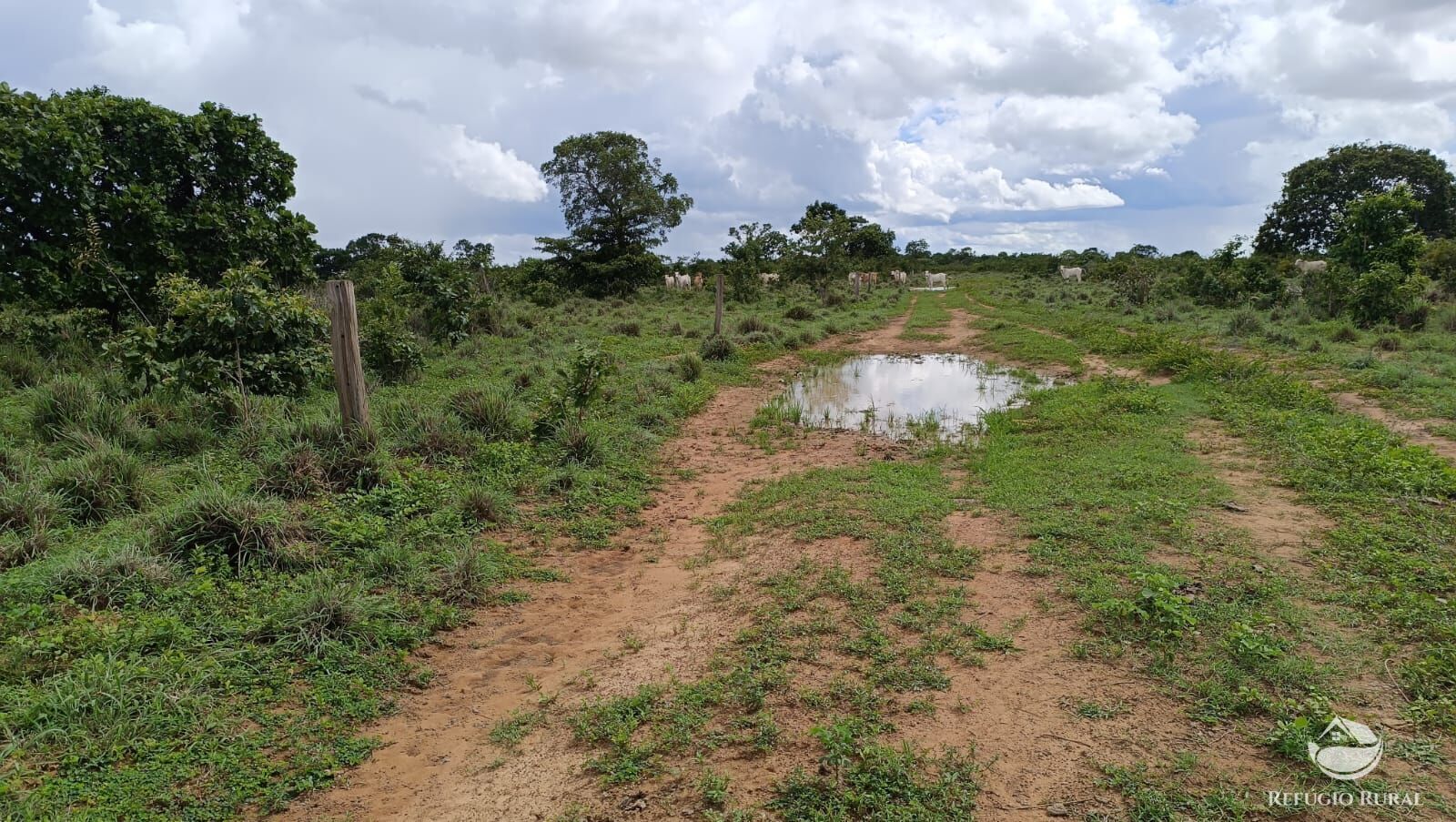 Fazenda à venda com 1 quarto, 7986000m² - Foto 15