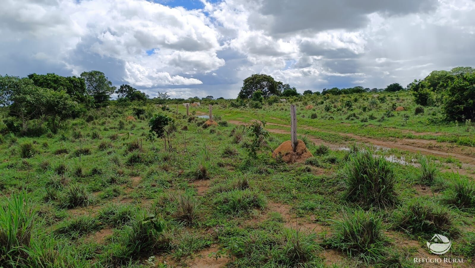 Fazenda à venda com 1 quarto, 7986000m² - Foto 12