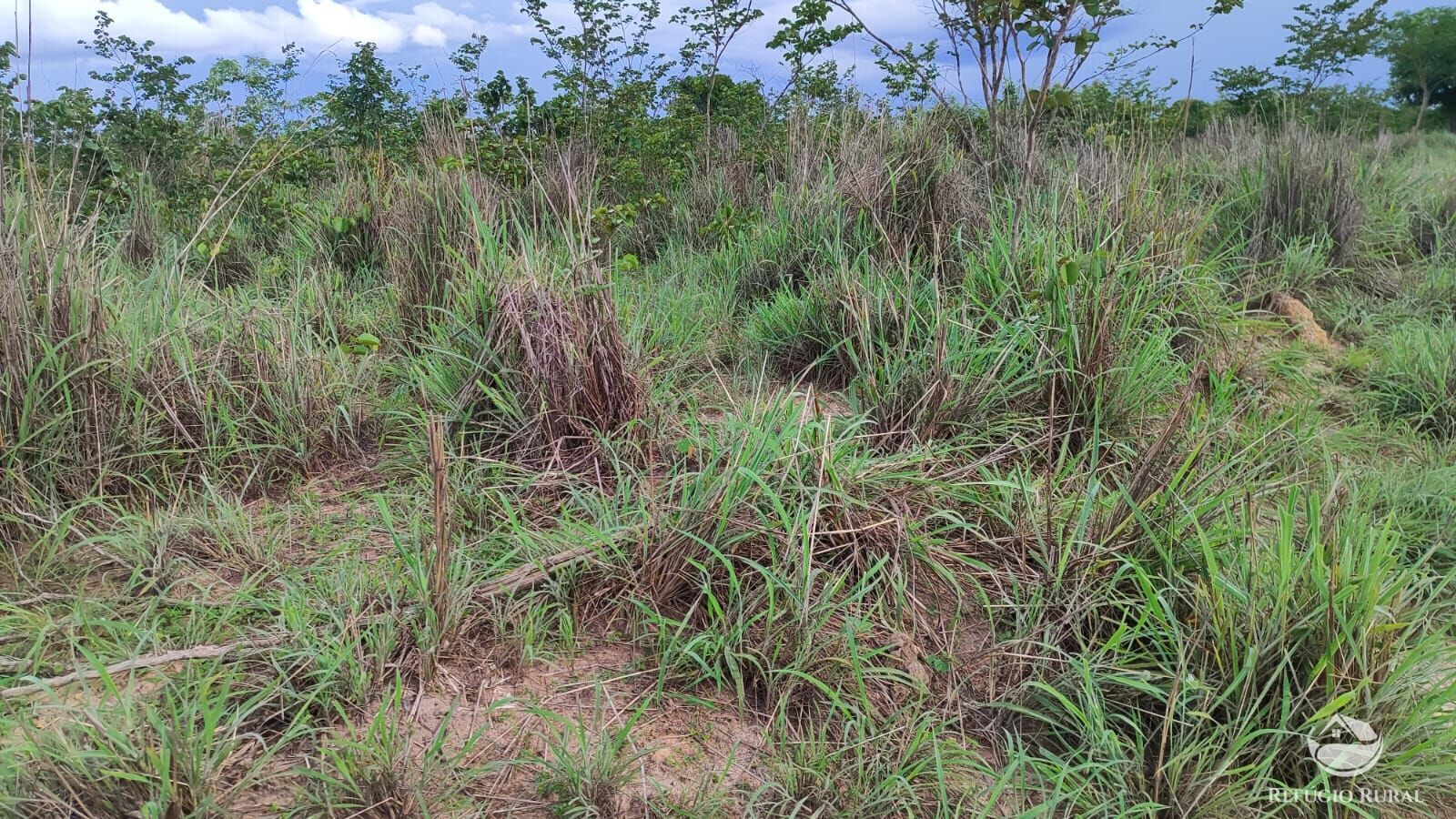 Fazenda à venda com 1 quarto, 7986000m² - Foto 13
