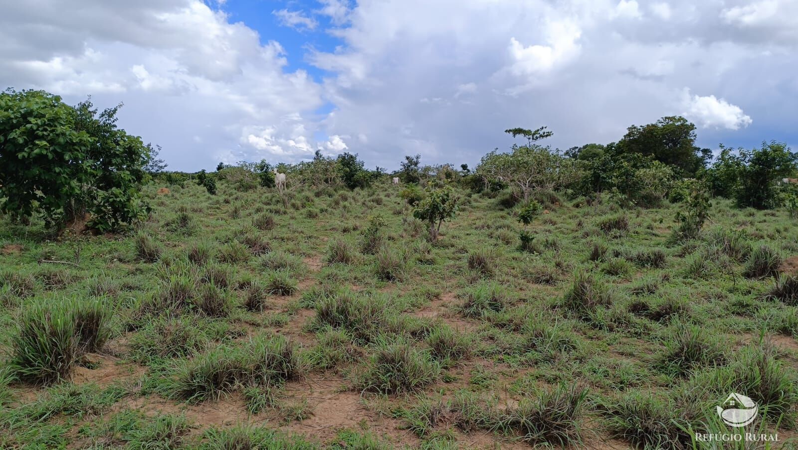 Fazenda à venda com 1 quarto, 7986000m² - Foto 14