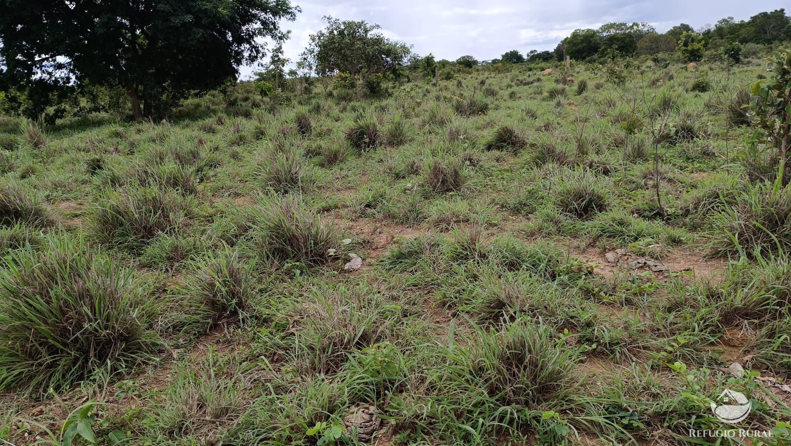 Fazenda à venda com 1 quarto, 7986000m² - Foto 22