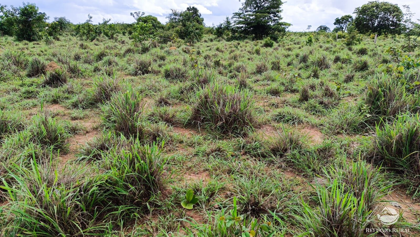 Fazenda à venda com 1 quarto, 7986000m² - Foto 11