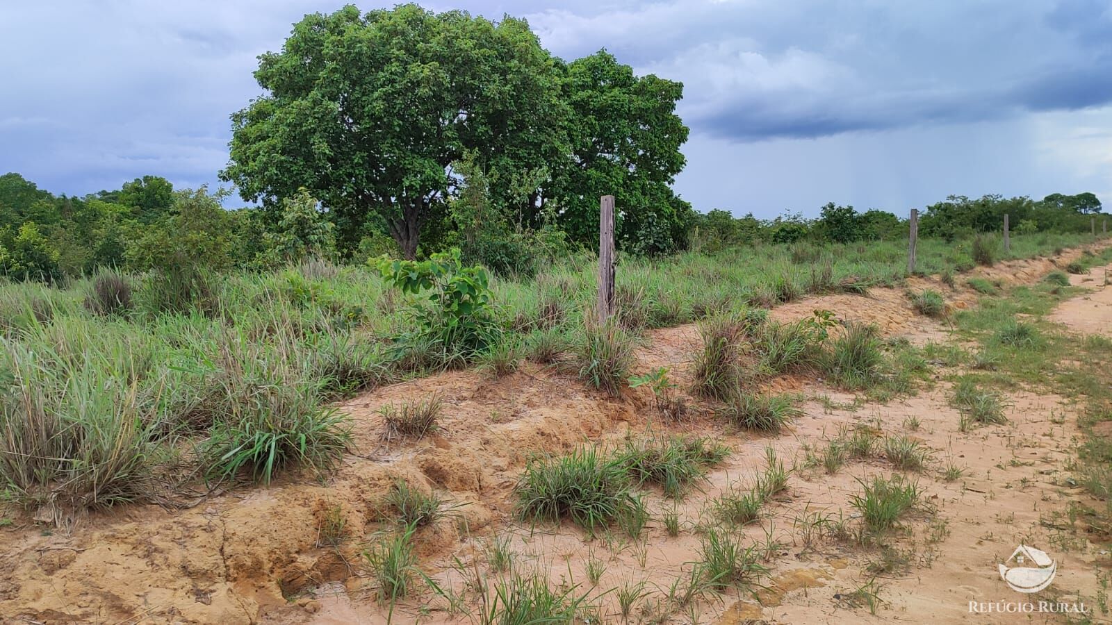Fazenda à venda com 1 quarto, 7986000m² - Foto 6
