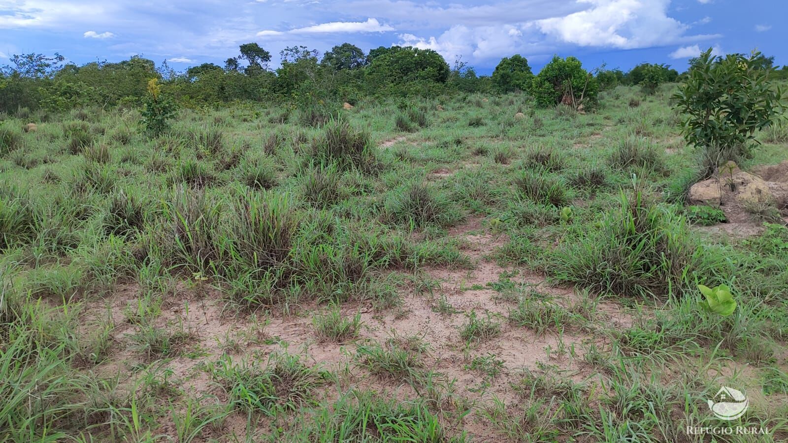 Fazenda à venda com 1 quarto, 7986000m² - Foto 8