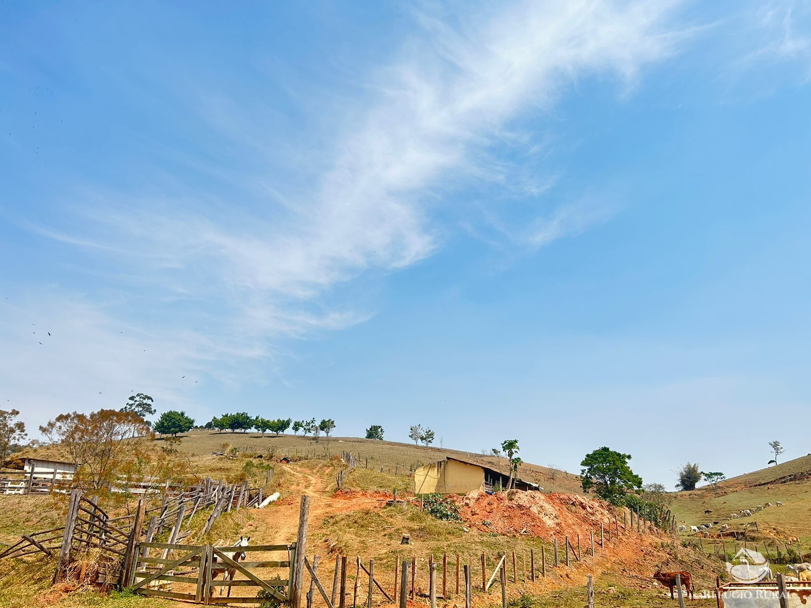 Fazenda à venda com 1 quarto, 363000m² - Foto 28