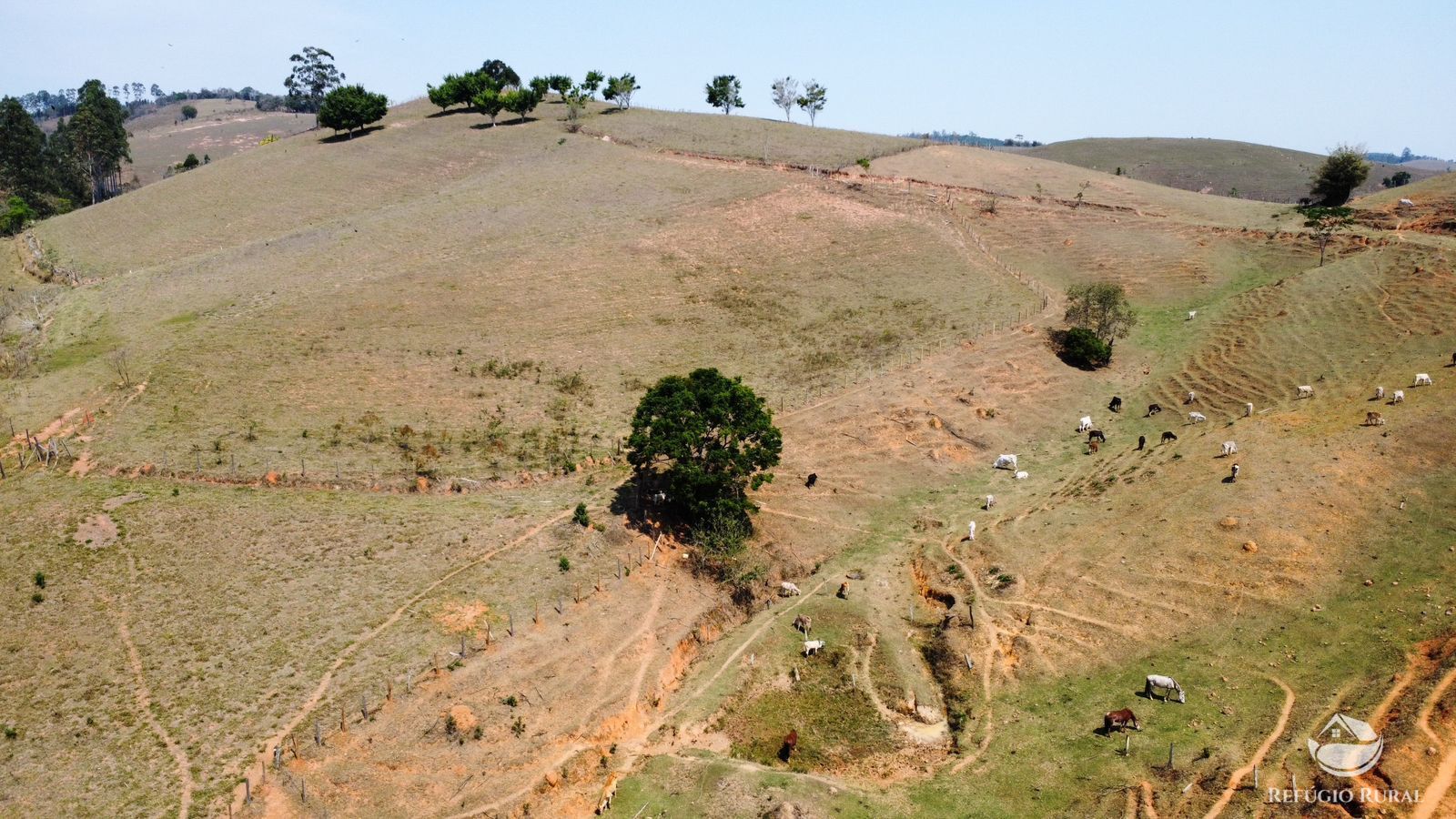 Fazenda à venda com 1 quarto, 363000m² - Foto 13