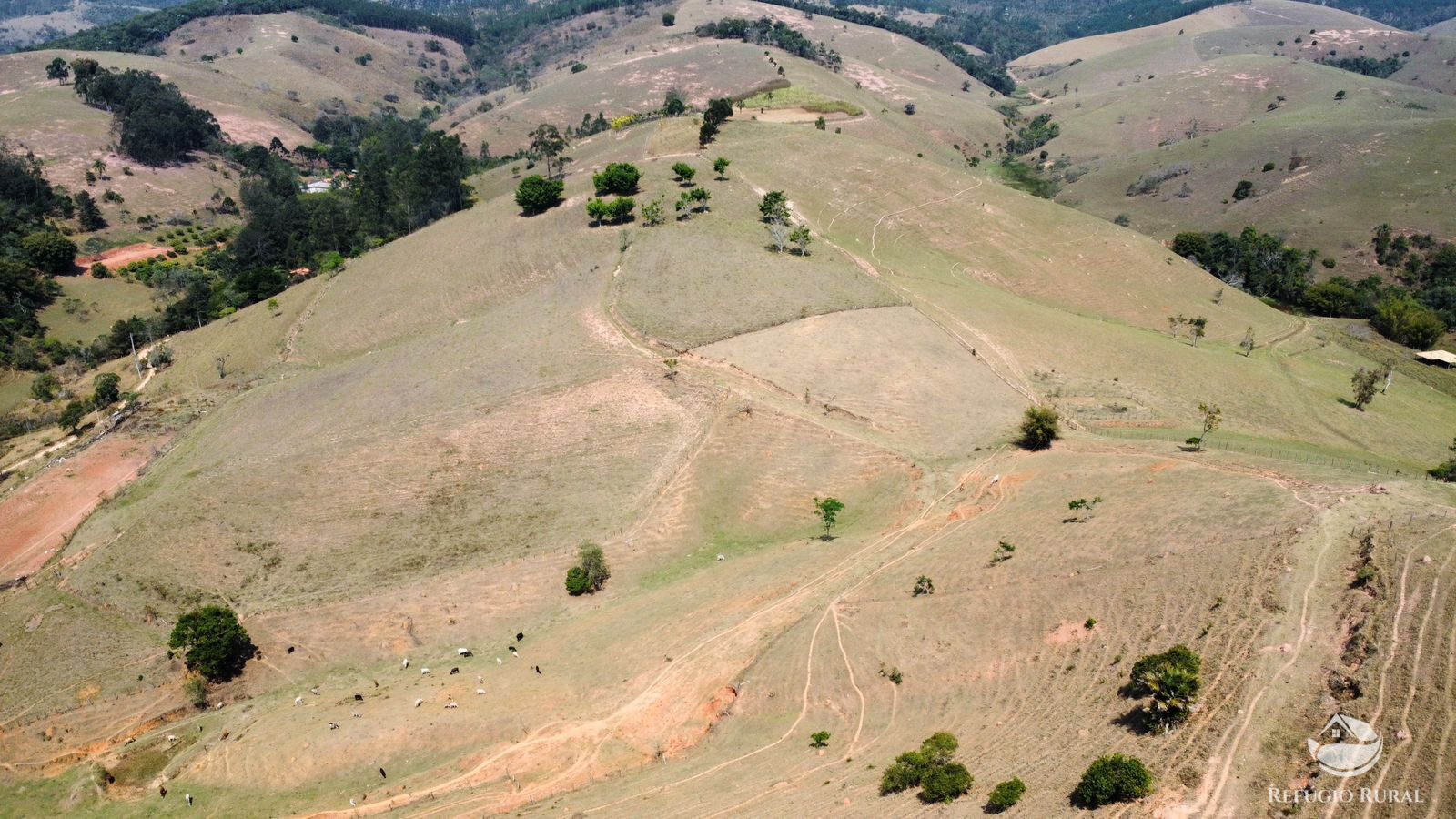 Fazenda à venda com 1 quarto, 363000m² - Foto 25