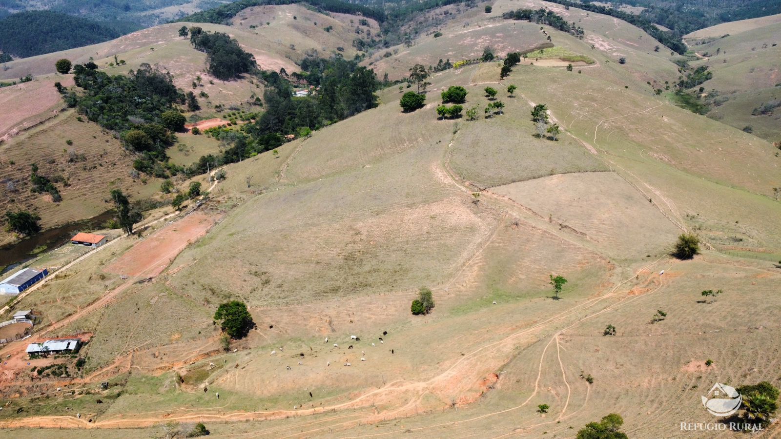 Fazenda à venda com 1 quarto, 363000m² - Foto 1