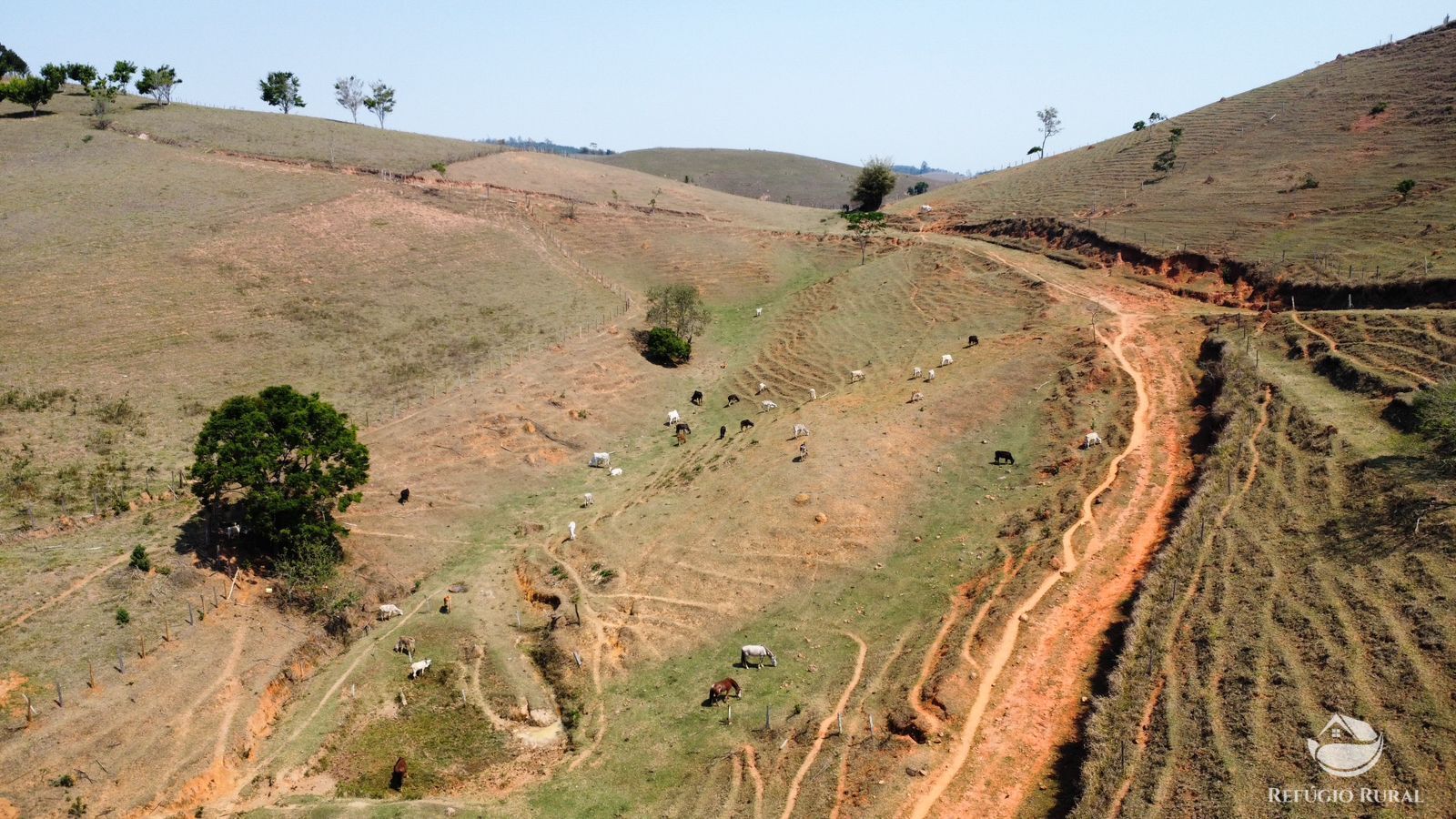 Fazenda à venda com 1 quarto, 363000m² - Foto 11