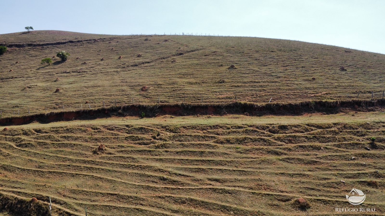 Fazenda à venda com 1 quarto, 363000m² - Foto 8