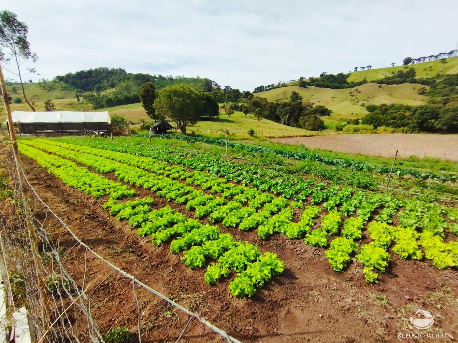 Fazenda à venda com 2 quartos - Foto 11