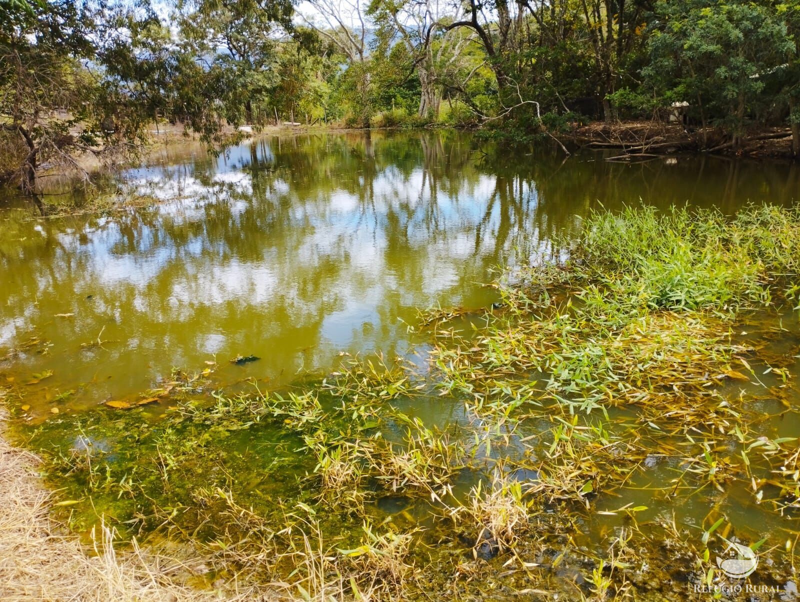 Fazenda à venda com 2 quartos - Foto 9