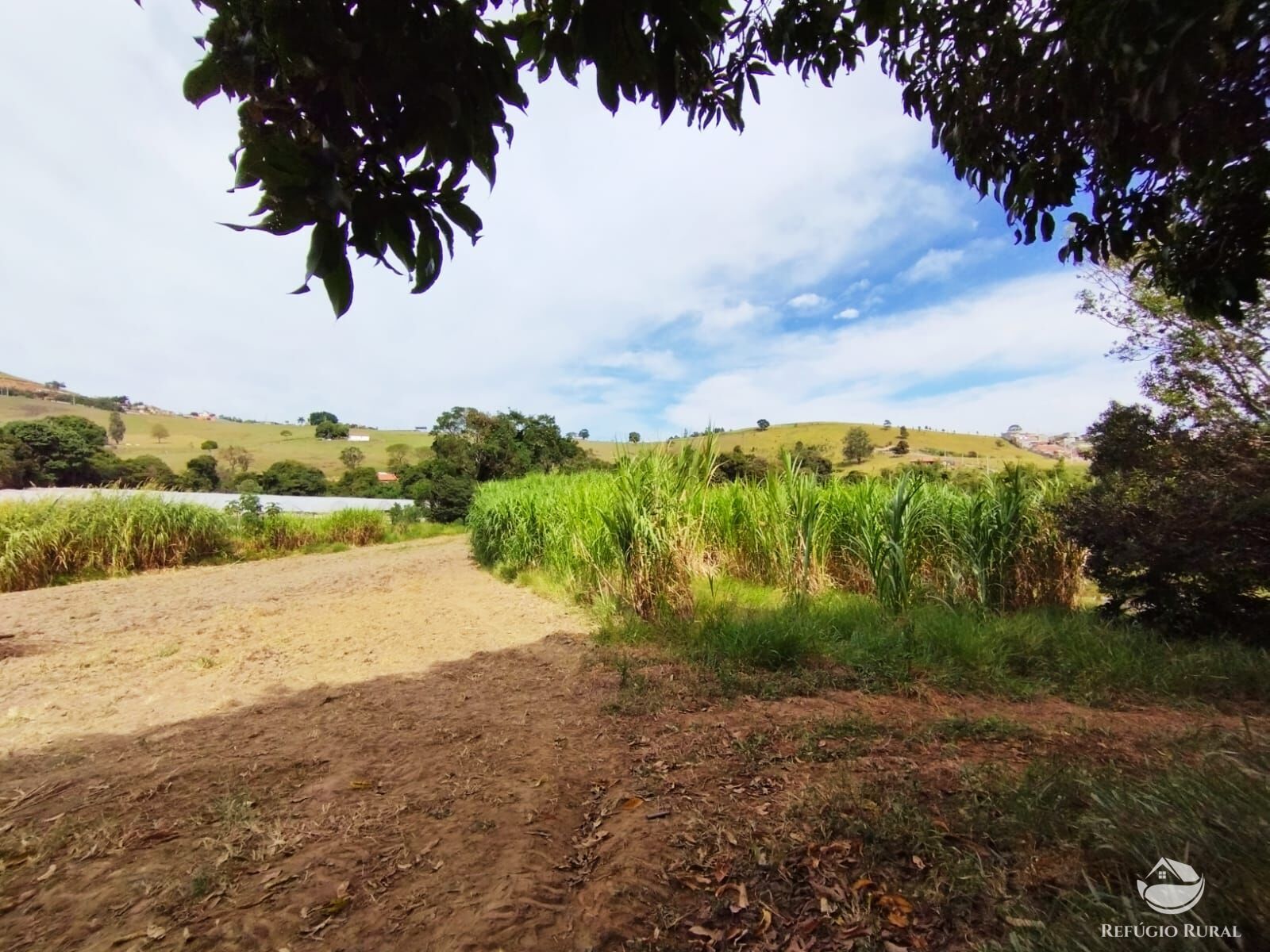 Fazenda à venda com 2 quartos - Foto 25